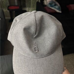 Chubbies Gray Pineapple Cap